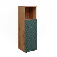 MIDISCHRANK Irma Goldkraft Eiche 30 x 95 cm - Grün, Holzwerkstoff (30/95/30cm) - Vicco