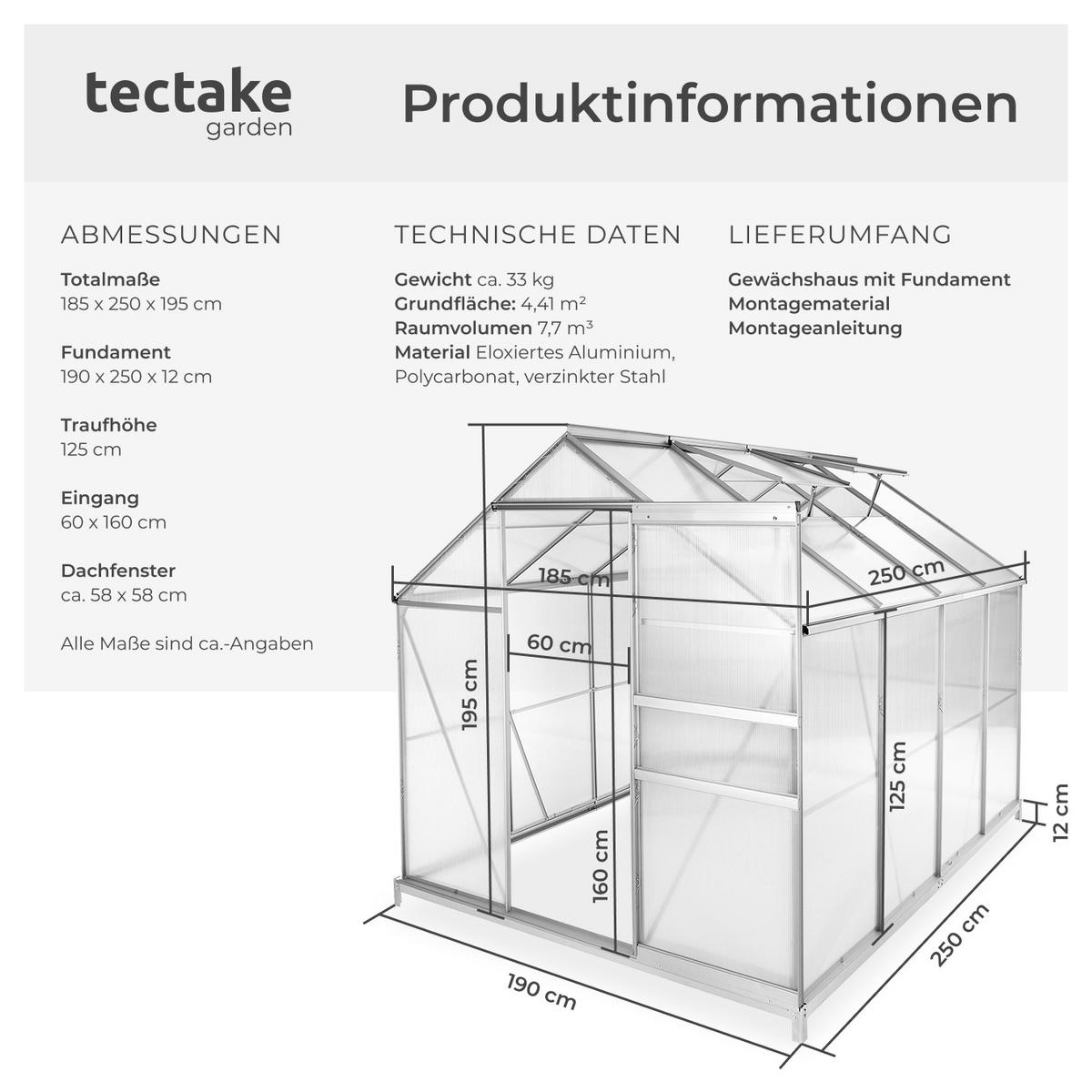GEWÄCHSHAUS MIT FUNDAMENT, 185 x 250 x 195 cm,transparent - Transparent, Metall (185/195/250cm) - tectake
