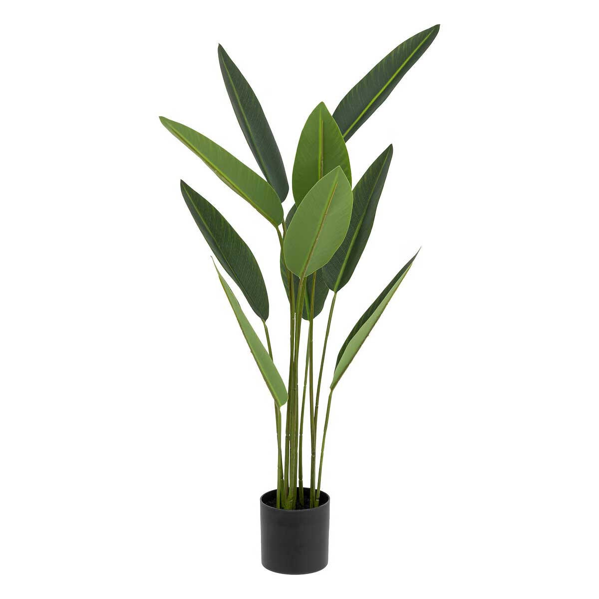 DEKOPFLANZE Strelitzia 97 cm - Grün, Kunststoff (97cm) - Atmosphera Createur d´interieur