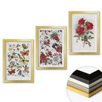 WANDBILDER 3er Set - 20x30 cm Goldrahmen - Schmetterlinge, Blumen, rote Rosen - Goldfarben, Kunststoff (20/30cm) - ArtPrintCave
