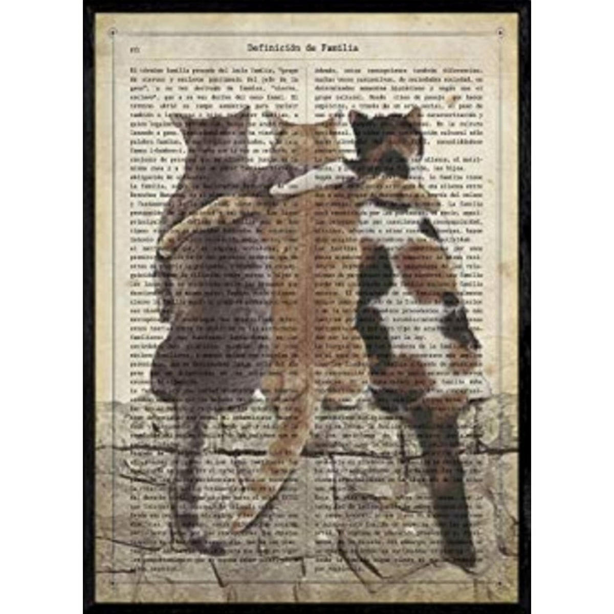 POSTER Von Drei Katzenfreunden A4 Schwarzer Rahmen - Schwarz, Papier (29.7/5/21cm) - Nacnic