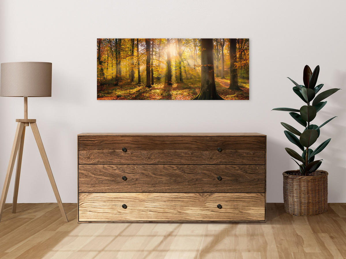 GLASBILD 125x50 cm Herbst Wald - Braun, Glas (125/50cm) - artissimo