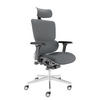 BÜROSTUHL MasterSeat Anthrazit - Anthrazit/Silberfarben, Kunststoff/Textil (70/135/70cm) - Clouvou