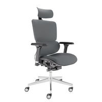 BÜROSTUHL MasterSeat Anthrazit - Anthrazit/Silberfarben, Kunststoff/Textil (70/135/70cm) - Clouvou
