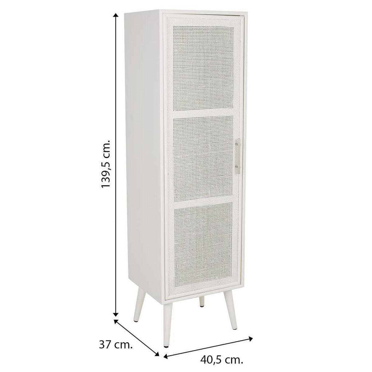 SCHRANK aus Holz und Gitter 41x37x140cm - Weiß, Holz (40.5/139.5/37cm) - Wanderlust