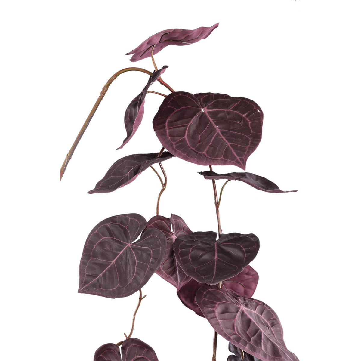 KUNSTBLATT Leaves Violett 108/26/170cm - Lila, Textil (26/170/108cm) - PTMD Collection