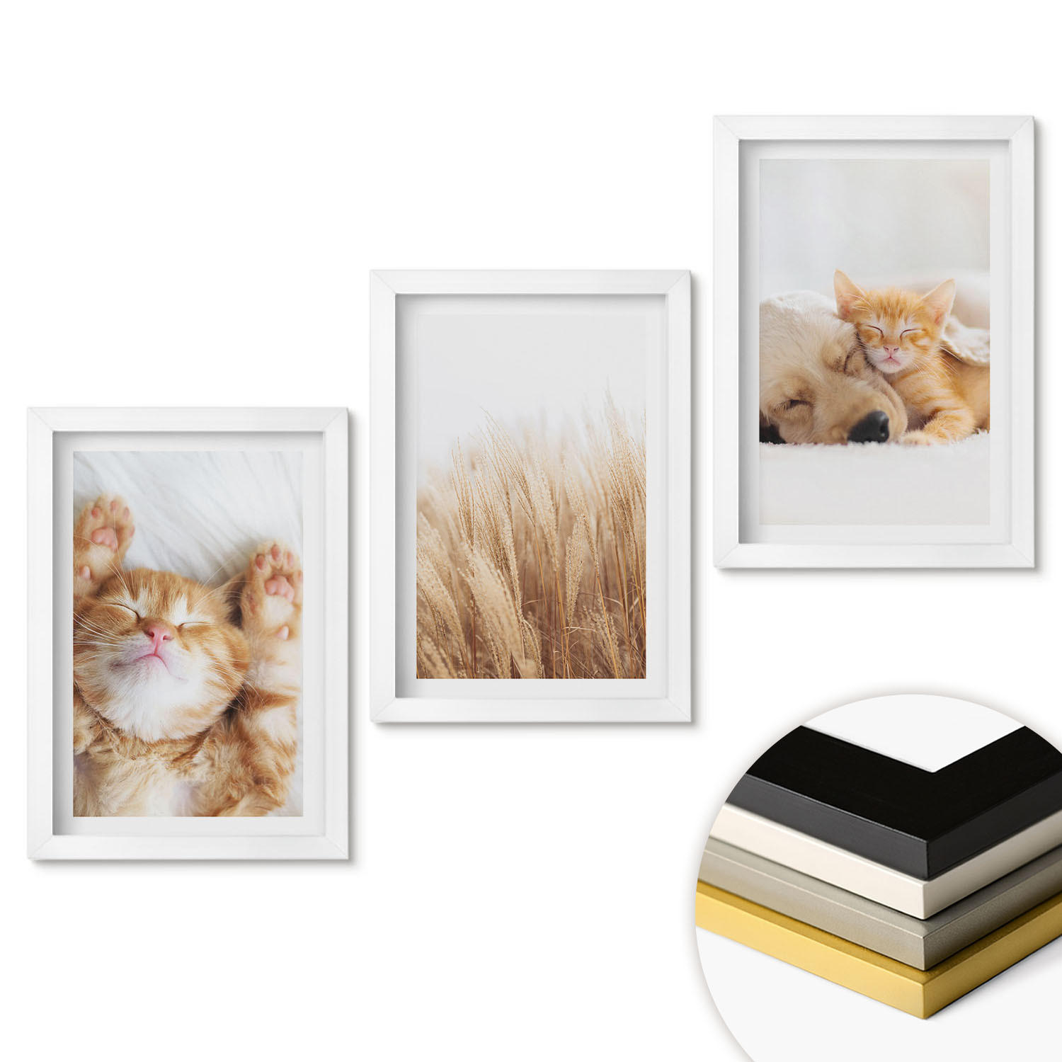 ArtPrintCave Wandbilder Weiß 20x30 cm