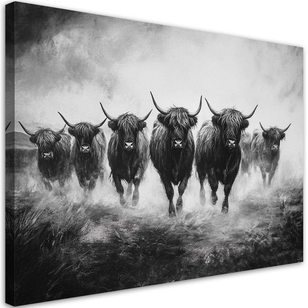 WANDBILD schottische kühe schwarz und weiß - Grau, Textil (60/40cm) - Feeby