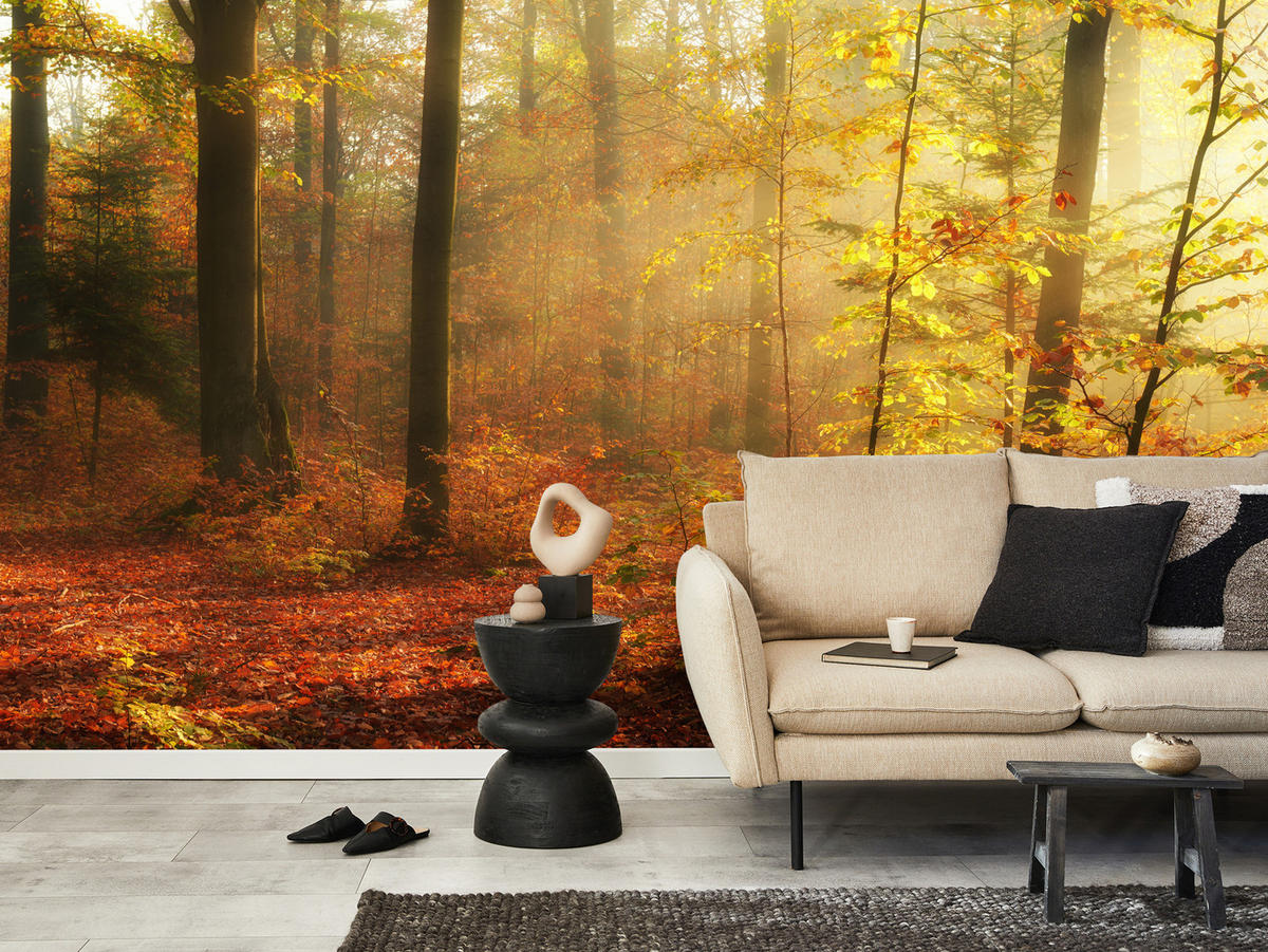 FOTOTAPETE für Wohnzimmer Herbstnebel Laubwald Bäume 350x256 - Gelb/Rot, Papier (350/256cm) - Muralo