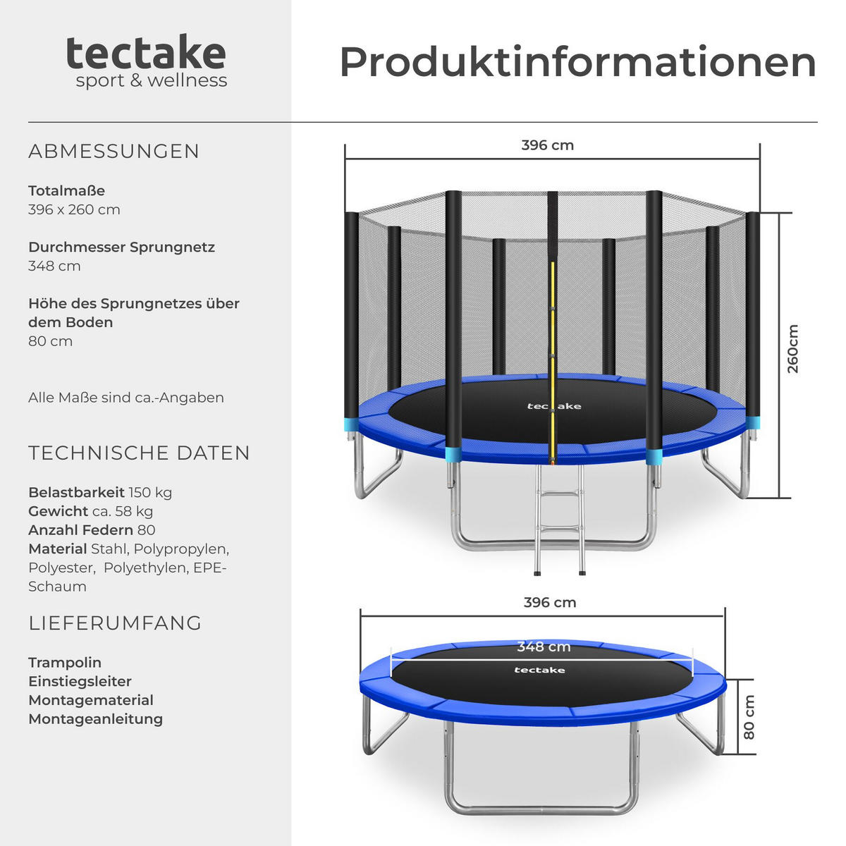 TRAMPOLIN Garfunky, inklusive Einstiegsleiter, schwarz/blau - Blau/Schwarz, Metall (396/260/396cm) - tectake