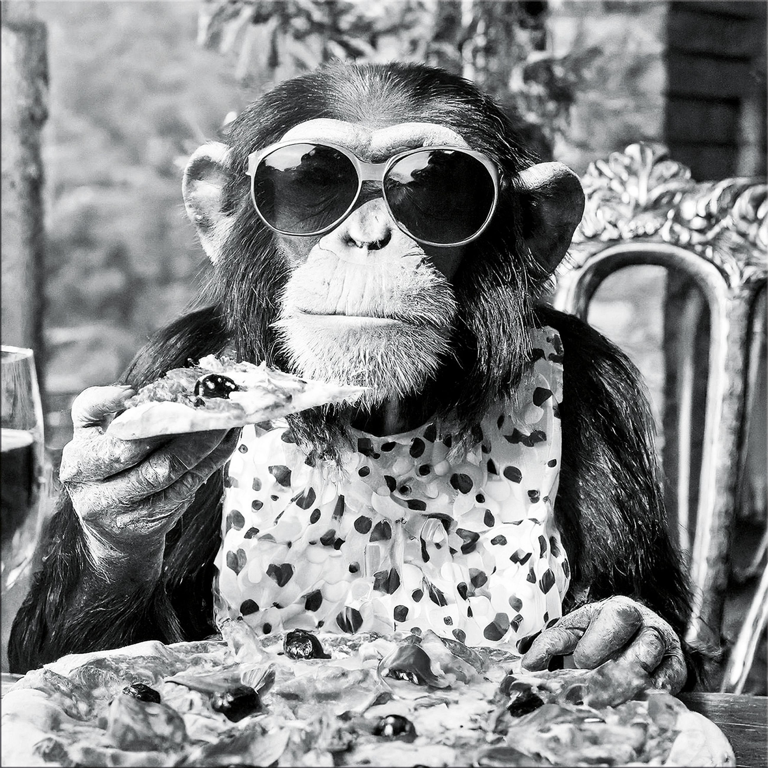 GLASBILD 50x50 cm Küche Affe schwarz weiß - Schwarz/Weiß, Glas (50/50cm) - artissimo