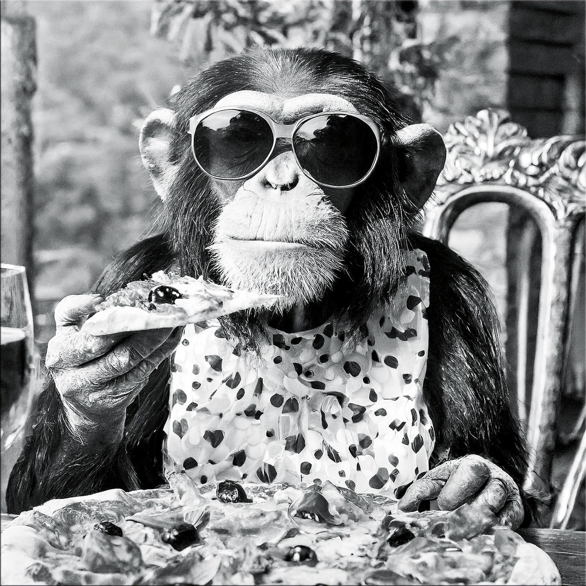 GLASBILD 50x50 cm Küche Affe schwarz weiß - Schwarz/Weiß, Glas (50/50cm) - artissimo