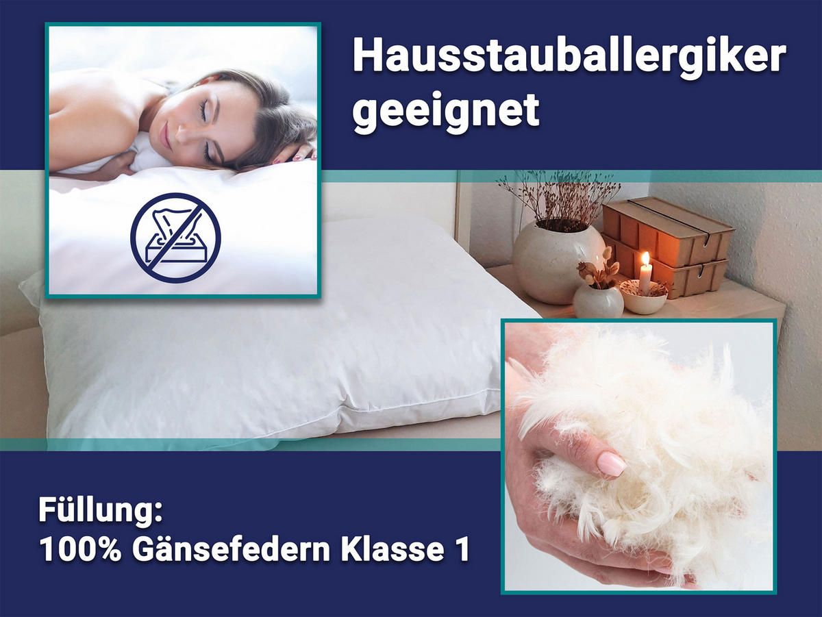 KISSEN, 60x80 cm, 100% Baumwolle, Weiß - Weiß, Textil (60/80cm) - Zollner