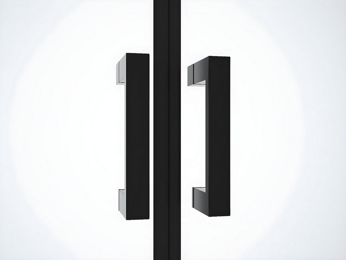 DUSCHTÜR - 80cm x 1.92cm - Aluminium - schwarz - SARASOTA - Schwarz, Metall (80/195cm) - Vente-Unique