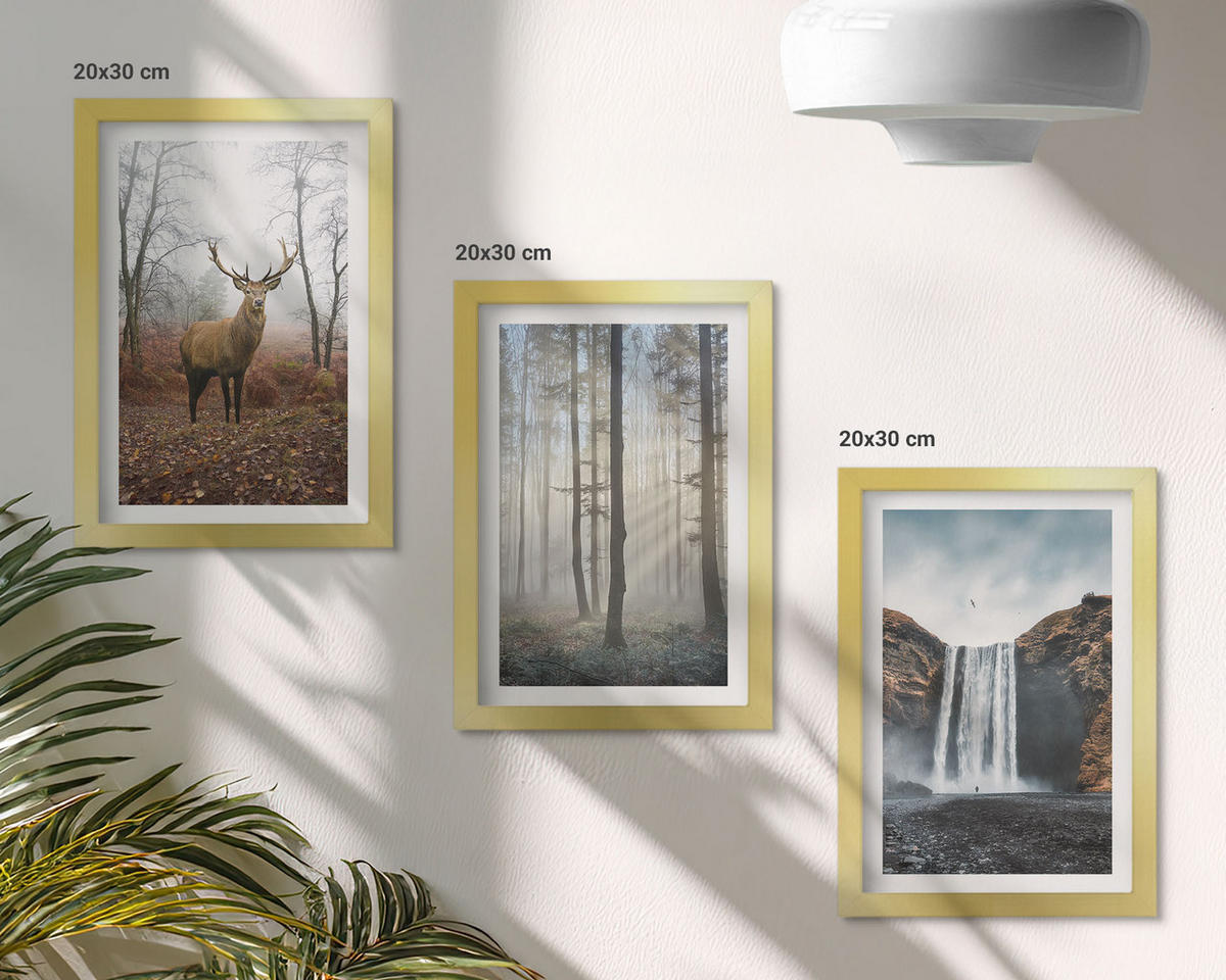 WANDBILDER 3er Set - 20x30 cm Goldrahmen - Waldlandschaften, wilde Natur - Goldfarben, Kunststoff (20/30cm) - ArtPrintCave