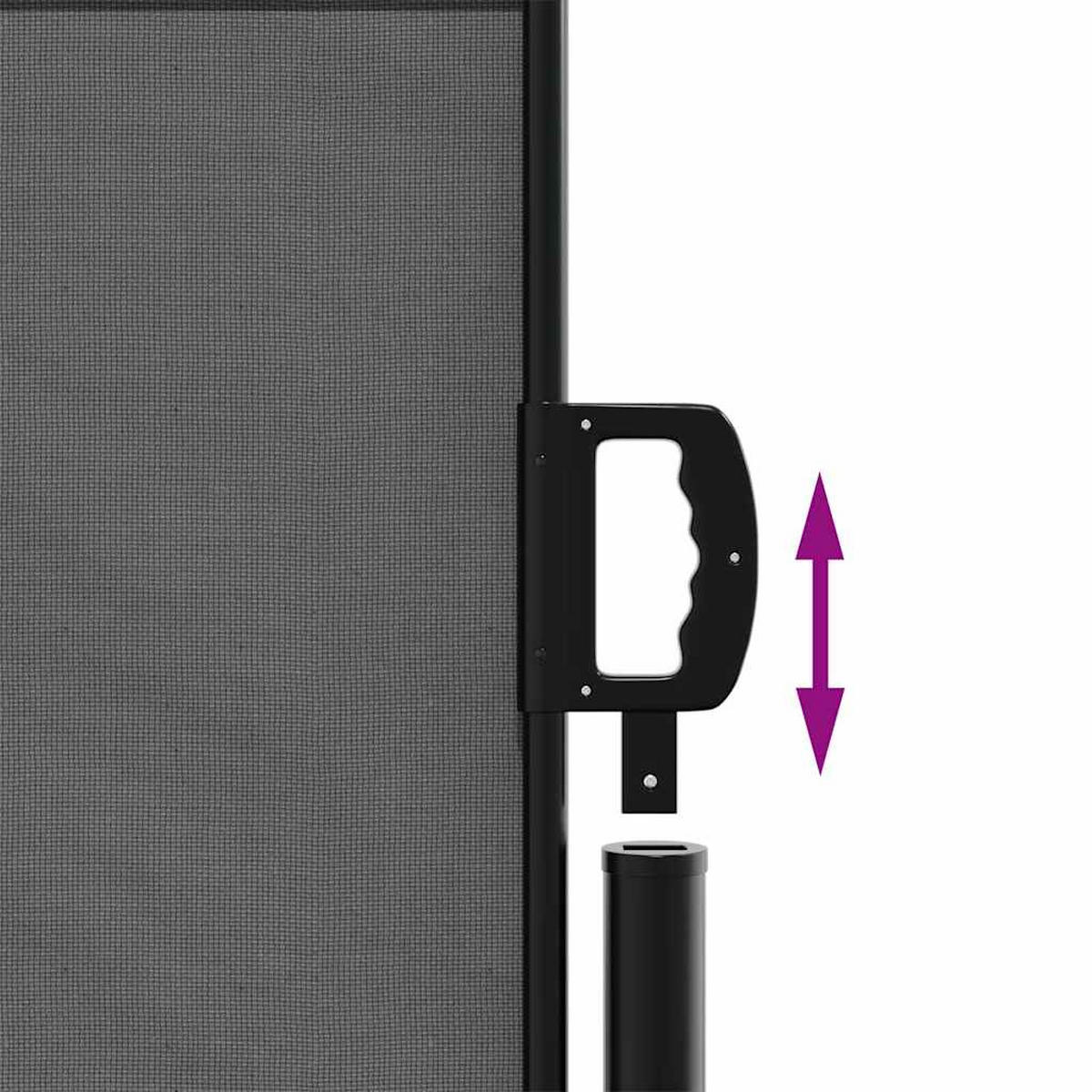 SEITENMARKISE Ausziehbare Anthrazit 100/300 Cm - Anthrazit, Textil (100/300cm) - vidaXL