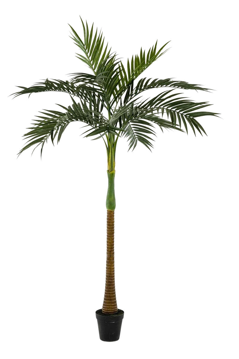 KUNSTBAUM Künstliche Palme - Zasta 245 cm - Grün, Kunststoff (245cm) - Emerald
