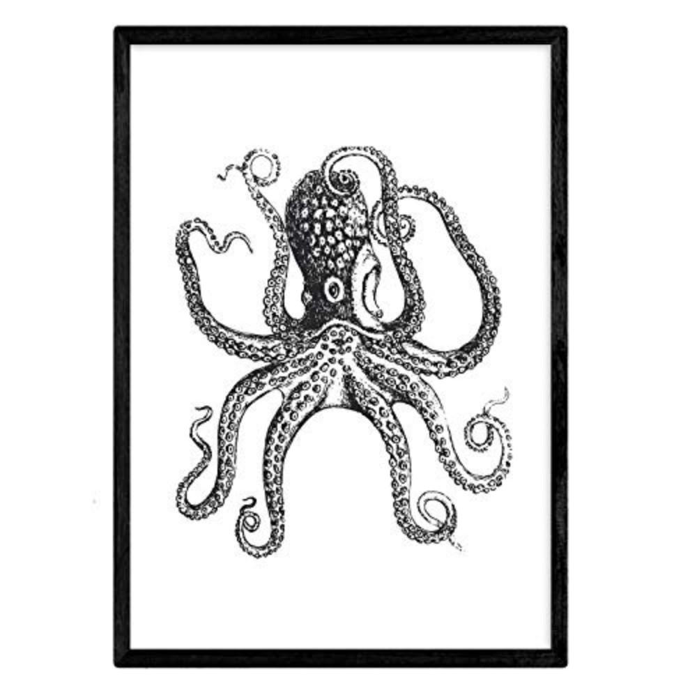 Nacnic Poster Klar 29.7x5x21 cm