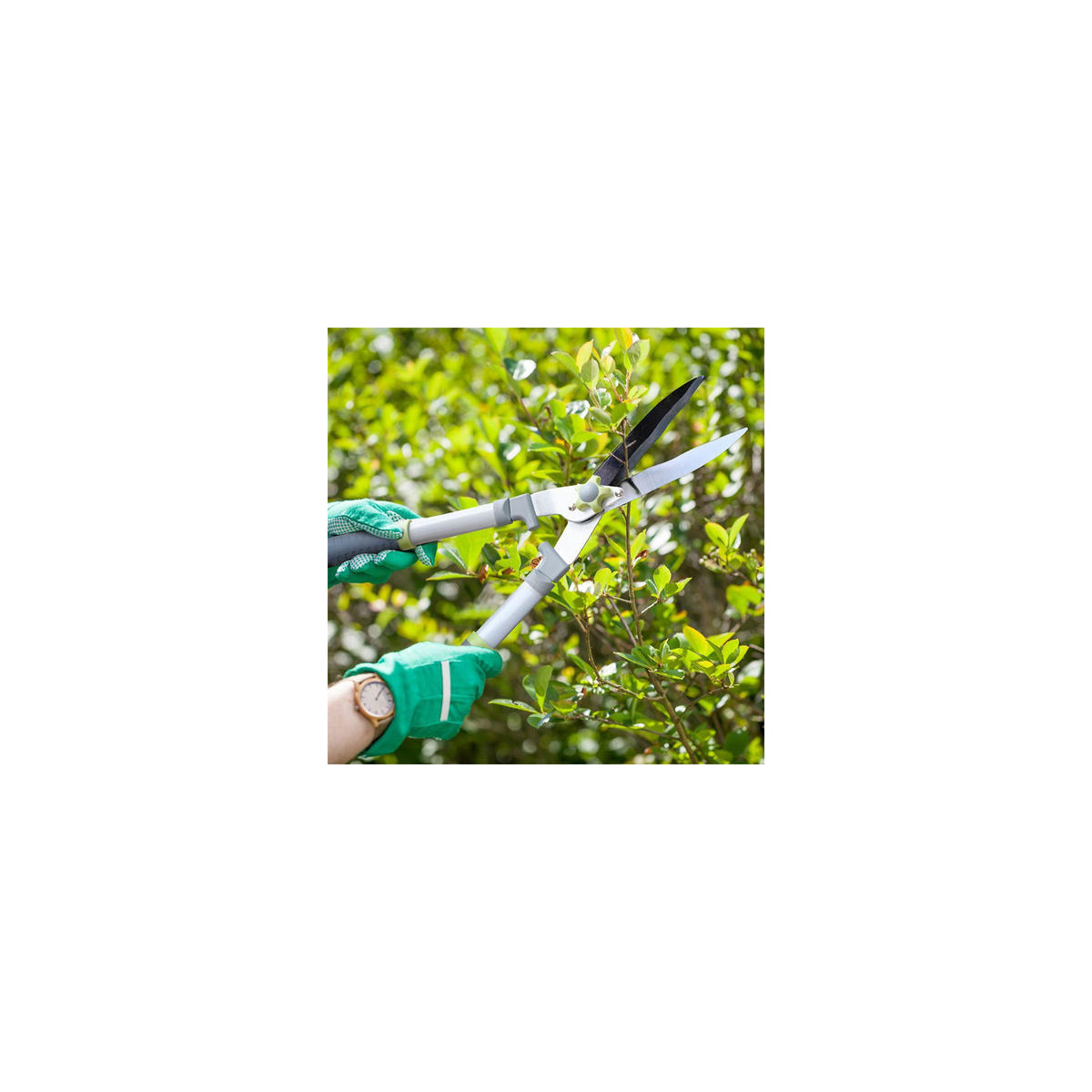 HECKENSCHERE mit gewellten Klingen - Antihaftbeschichtung - Maße: 58 x 23 cm - Grau, Metall (23/5/58cm) - SUAN