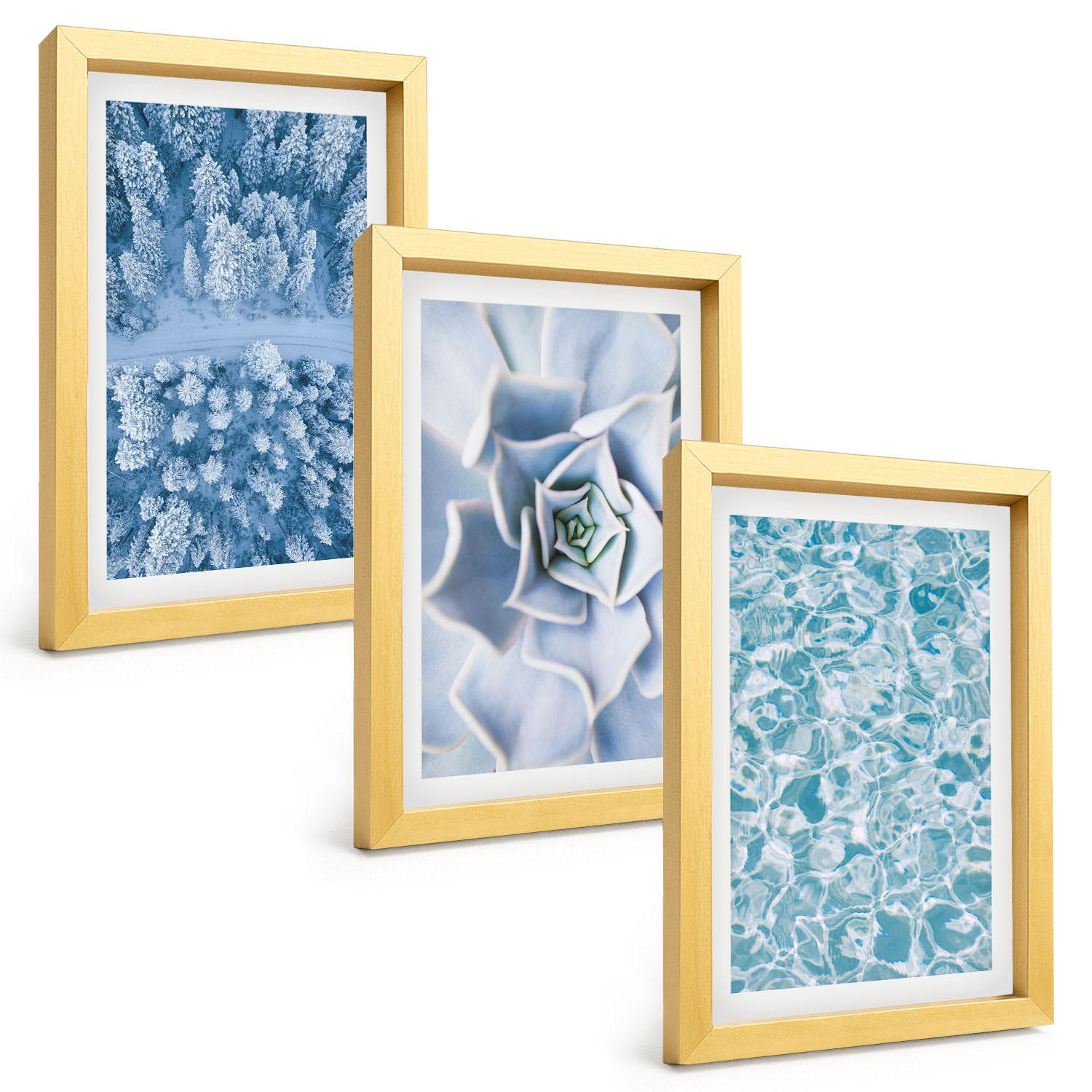 BILDER SET 3er Set - 20x30 cm Goldrahmen - Winterwald blaue Blume Wasser - Goldfarben, Kunststoff (20/30cm) - TULUP