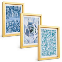BILDER SET 3er Set - 20x30 cm Goldrahmen - Winterwald blaue Blume Wasser - Goldfarben, Kunststoff (20/30cm) - TULUP