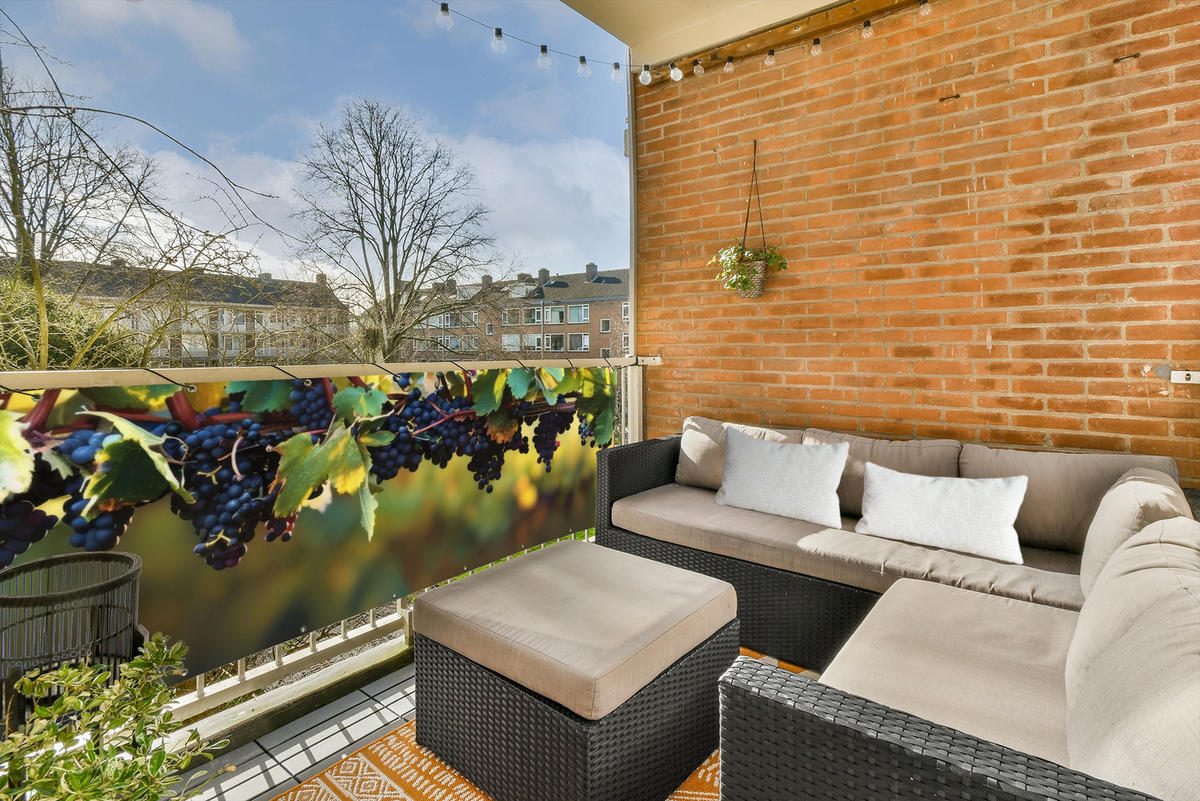 BALKON-SICHTSCHUTZ Trauben - Wein - Natur - Grün - Weinrot, Kunststoff (300/100cm) - MuchoWow