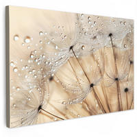 LEINWANDBILD Löwenzahn - Abstrakt - Natur - Beige Wanddeko 90x60 cm - Braun, Textil (90/60cm) - MuchoWow