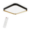 LED-DECKENLEUCHTE Zara 30/30/6 cm - Schwarz, Kunststoff (30/30/6cm) - Nettlife