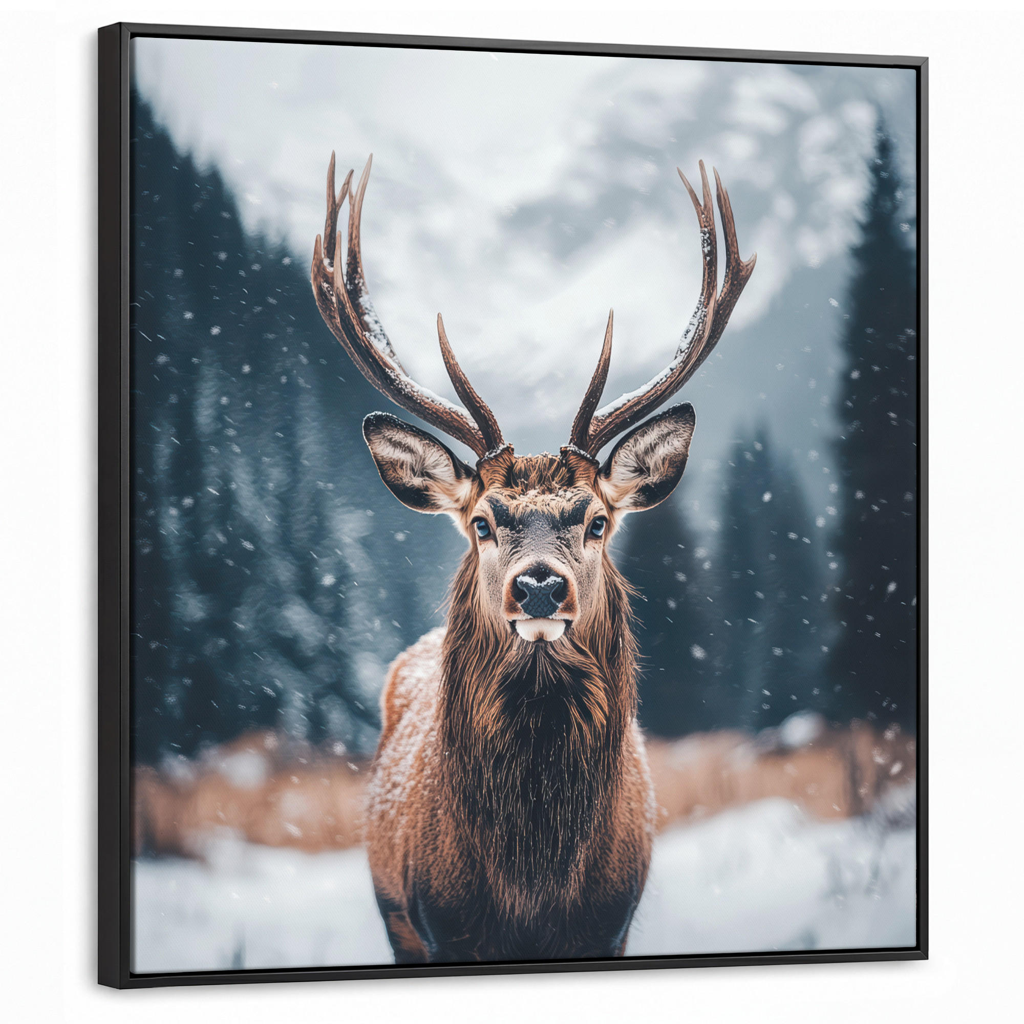 MuchoWow Leinwand Kastanien 90x90 cm