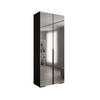 DREHTÜRENSCHRANK 236.7/100/47 2-türig - Schwarz, Holz/Metall (100/236.7/47cm) - Abiks Möbel