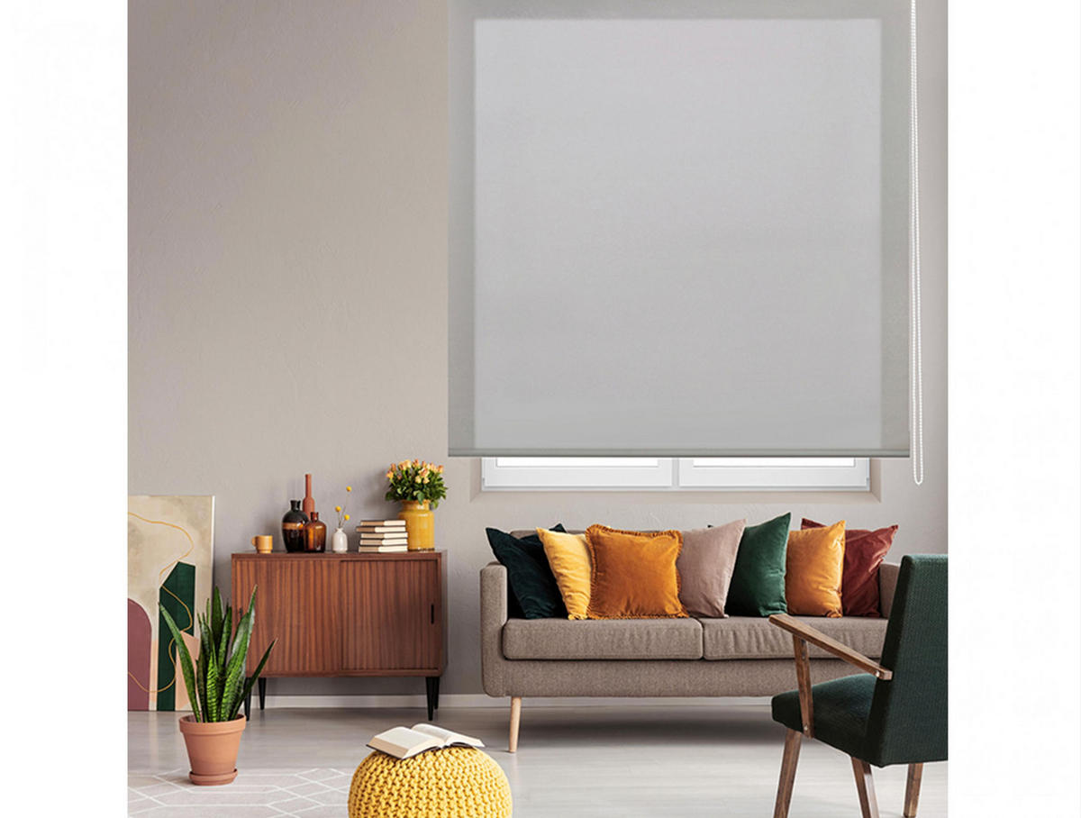 ROLLO Polyester Transluzent Silber 120x250 - Silberfarben, Textil (120/250/1cm) - Purline