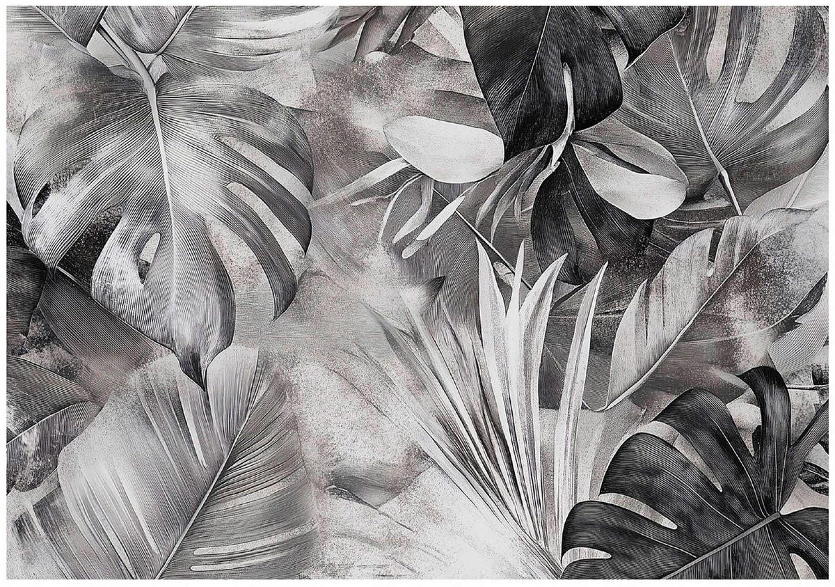 FOTOTAPETE Monstera Blätter Schwarz Weiß 150x105 - Multicolor, Papier (150/105cm) - Wallarena