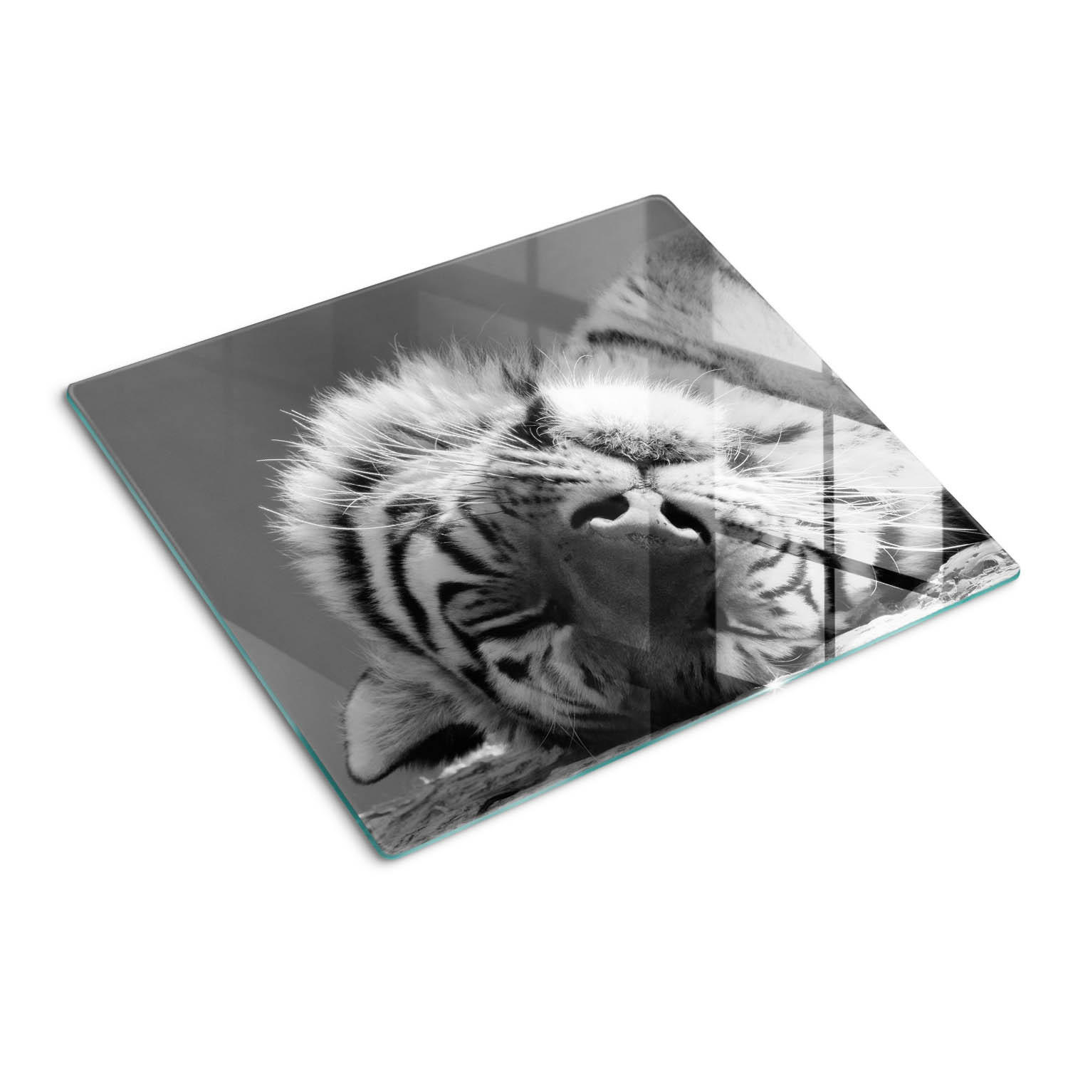 GLASPLATTE 60x52 cm Schlafender Tiger - Hellgrau, Glas (60/52cm) - TULUP