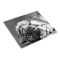 GLASPLATTE 60x52 cm Schlafender Tiger - Hellgrau, Glas (60/52cm) - TULUP