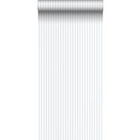 TAPETE Streifen 53 cm x 10 m - Grau, Papier (53/0.1cm) - Sanders & Sanders