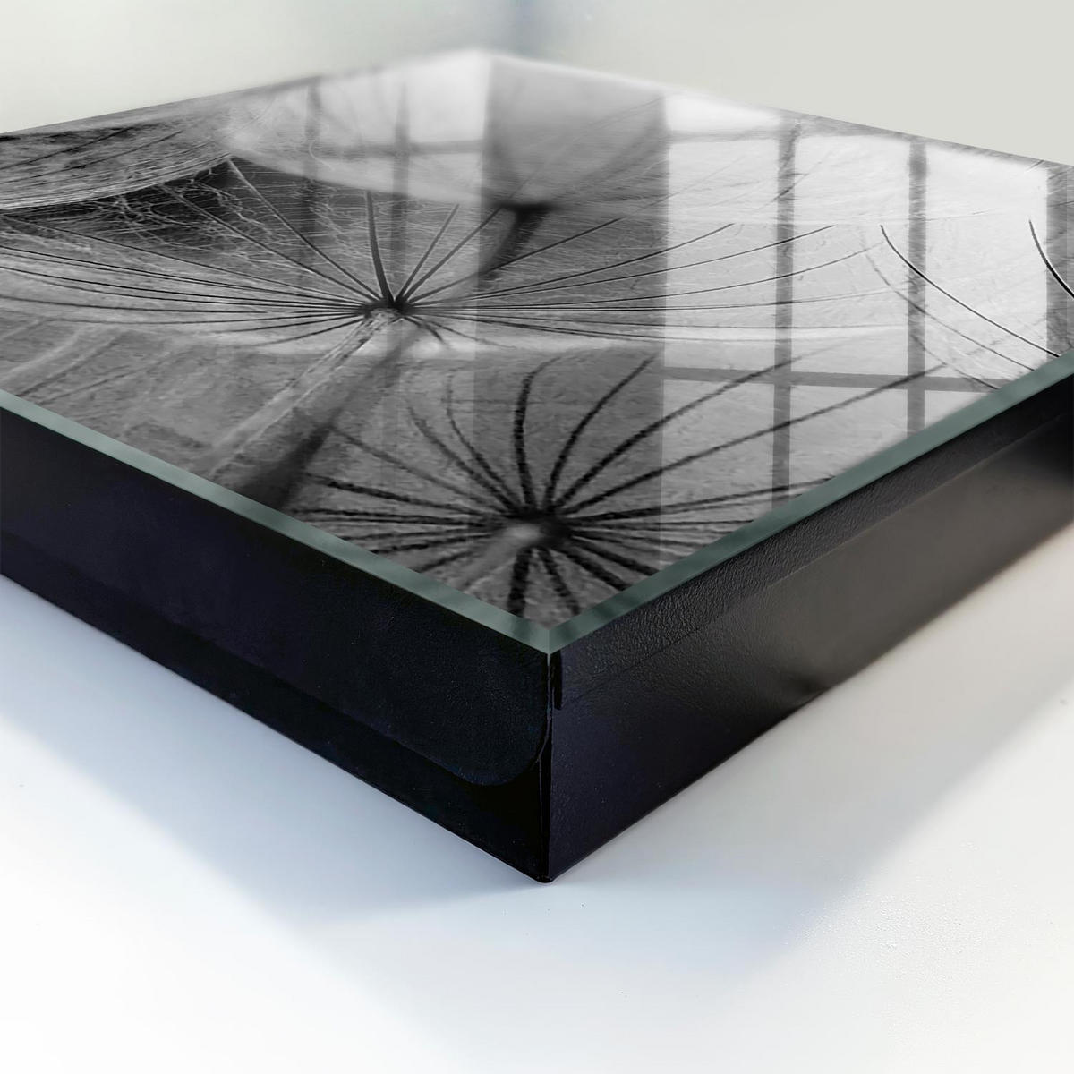 SCHLÜSSELBOX Schwarz 30x30 cm- Türöffnung nach rechts - Löwenzahnsamen - Grau, Metall (30/30/5cm) - TULUP
