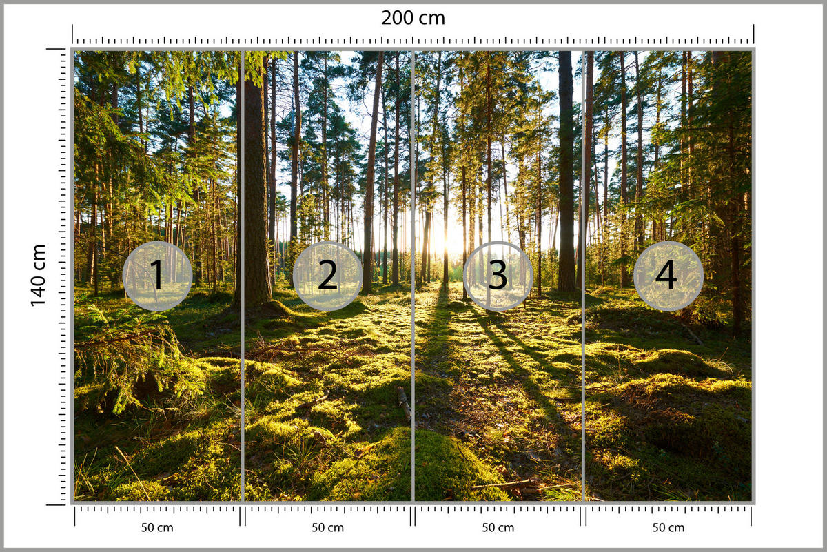 FOTOTAPETE für Küche Sonnenaufgang WALD Moss Bäume Sonnenstrahl 200x140 - Gelb/Braun, Papier (200/140cm) - Muralo