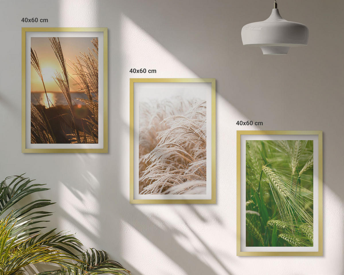 WANDBILDER 3er Set - 40x60 cm Goldrahmen - Gräser farbenfrohe Natur - Goldfarben, Kunststoff (40/60cm) - ArtPrintCave