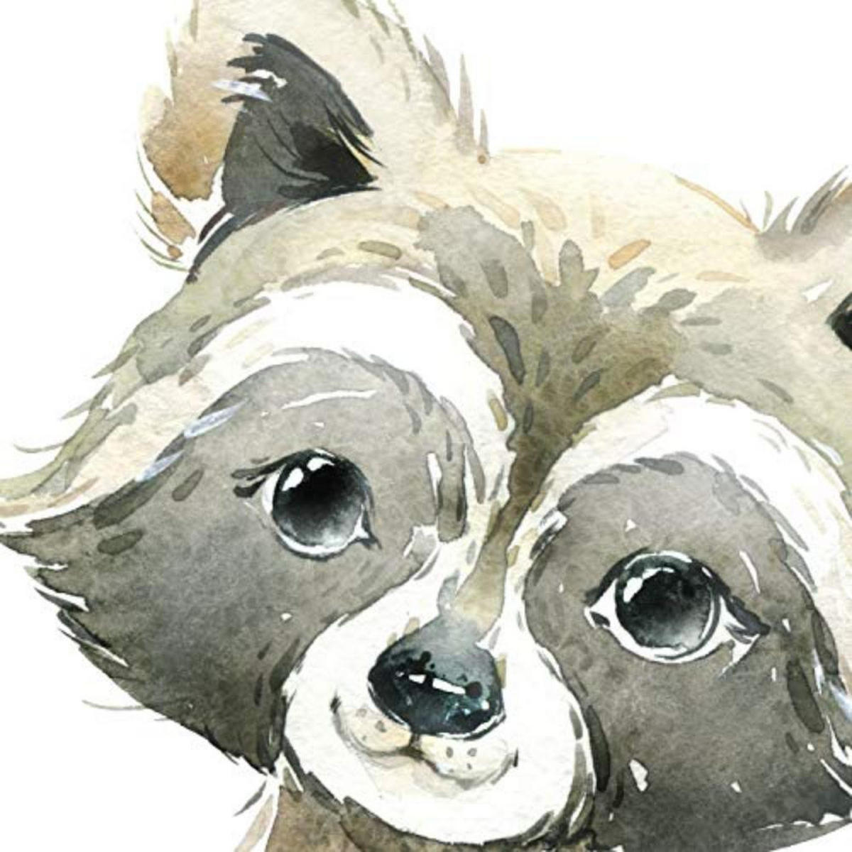 POSTER Set mit 4 Waschbär Stinktier Reh und Fuchs A4 Schwarzer Rahmen - Schwarz, Papier (29.7/3cm) - Nacnic