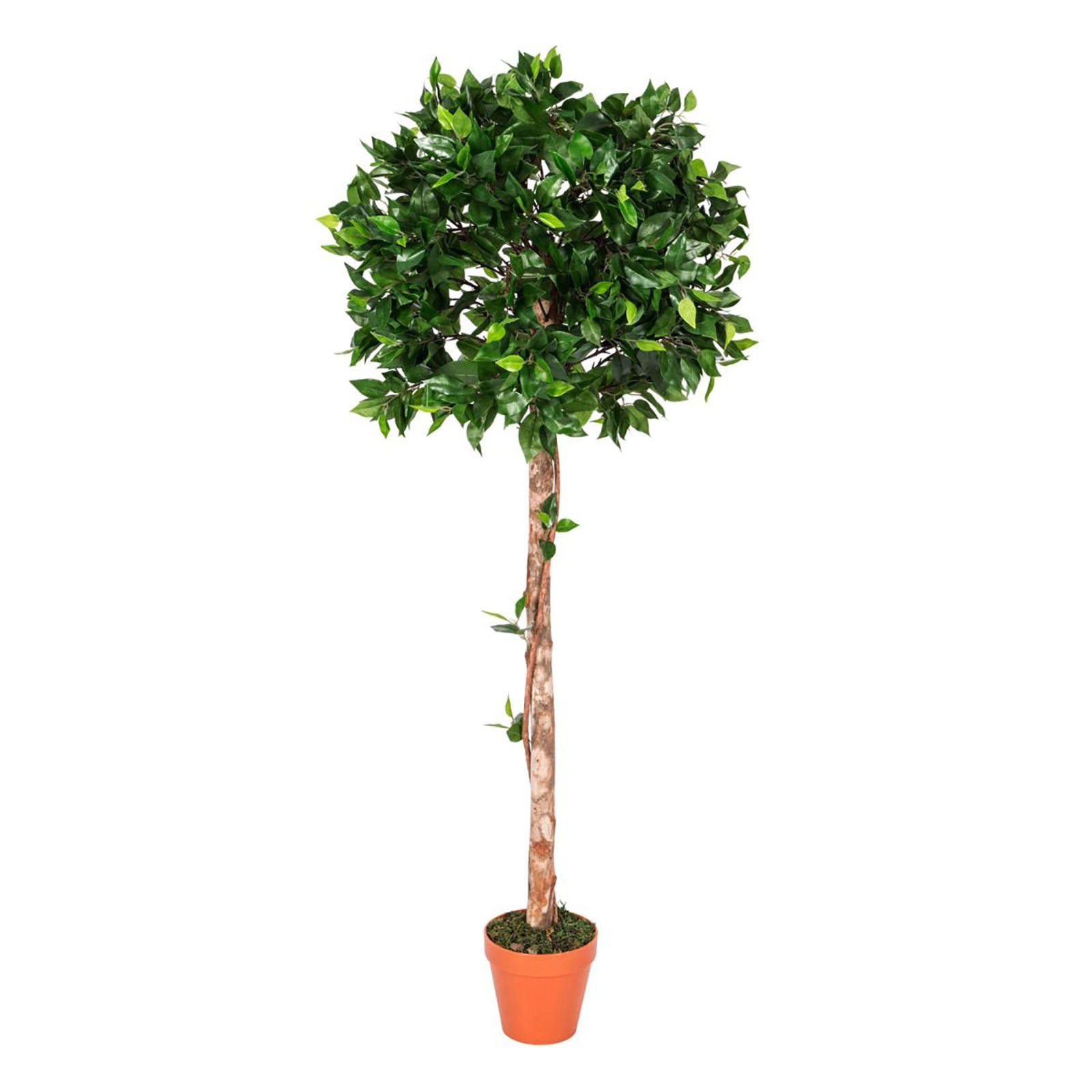 KUNSTBAUM Ficus formgeschnitten, 125 cm - Grün, Kunststoff (125cm) - Homescapes