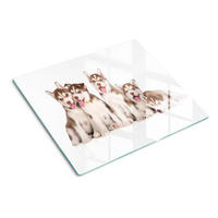 GLASPLATTE 60x52 cm Husky-Welpen - Braun, Glas (60/52cm) - TULUP