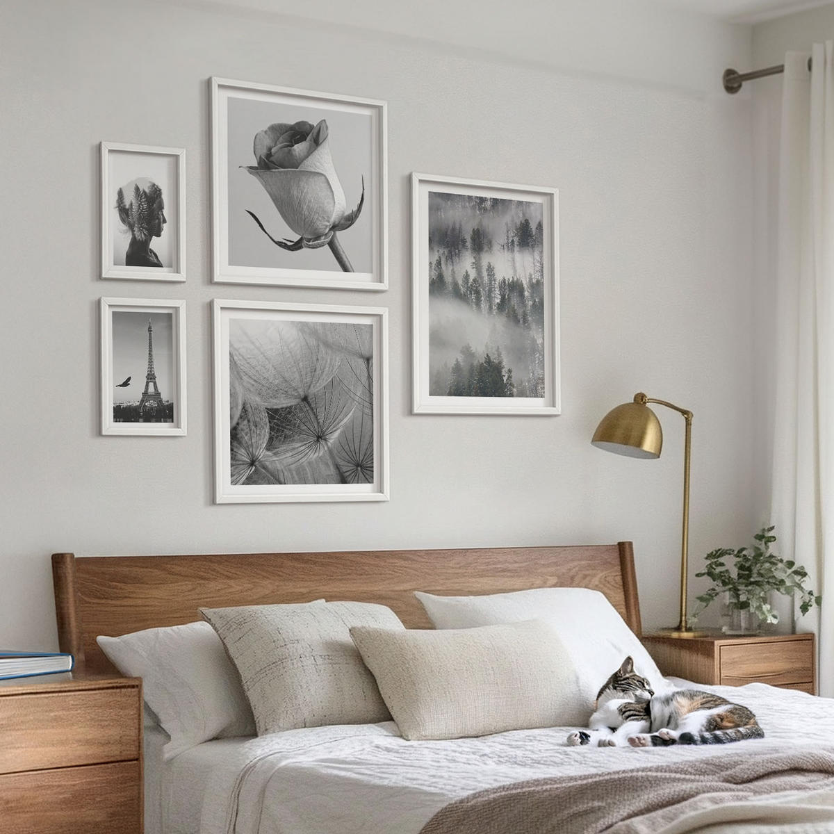 WANDBILDER 5er-Set - 50x50 cm & 20x30 cm & 40x60 cm Weißer Rahmen - Zitrusbäume in einem sonnigen Garten - Weiß, Kunststoff (40/60cm) - ArtPrintCave
