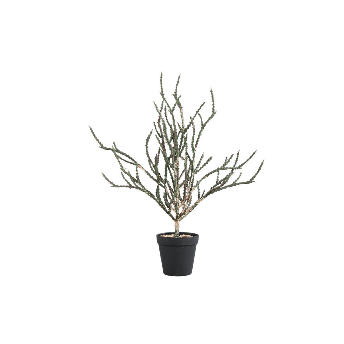 KUNSTBLATT Leaves Grün 37/46/50cm - Grün, Kunststoff (46/50/37cm) - PTMD Collection