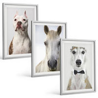 BILDER SET 3er Set - 40x60 cm Silberner Rahmen - Elegante Porträts von Hunden und Pferden - Silberfarben, Kunststoff (40/60cm) - TULUP