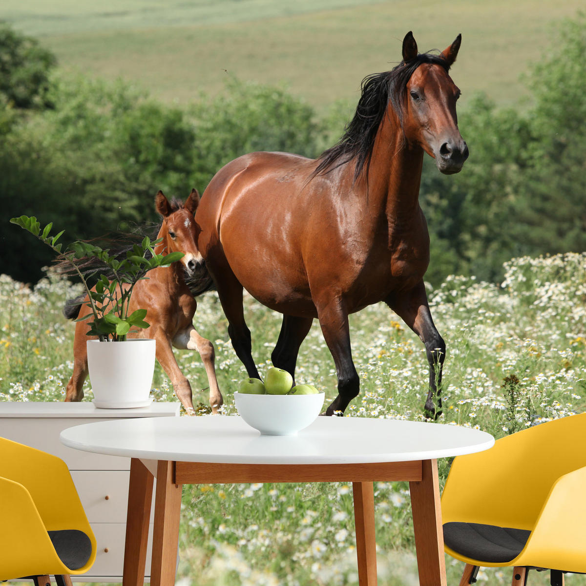 FOTOTAPETE Pferde Lichtung Pflanzen Natur 200x140 - Beige/Schwarz, Papier (200/140cm) - Muralo