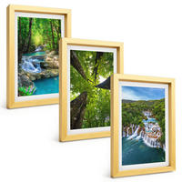 BILDER SET 3er Set - 20x30 cm Goldrahmen - Wasserfälle grüner Wald Wasser - Goldfarben, Kunststoff (20/30cm) - TULUP