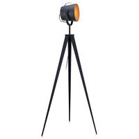 STEHLEUCHTE Schwarz - Schwarz, Metall (158/59.9/158cm) - Teamson Home
