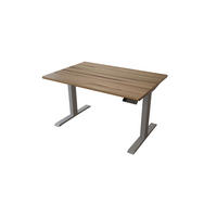 SCHREIBTISCH 120/80 elektrisch höhenverstellbar aus Kernbuche - Silber - Braun/Grau, Holz (80/120/72.5cm) - MeinMassivholz