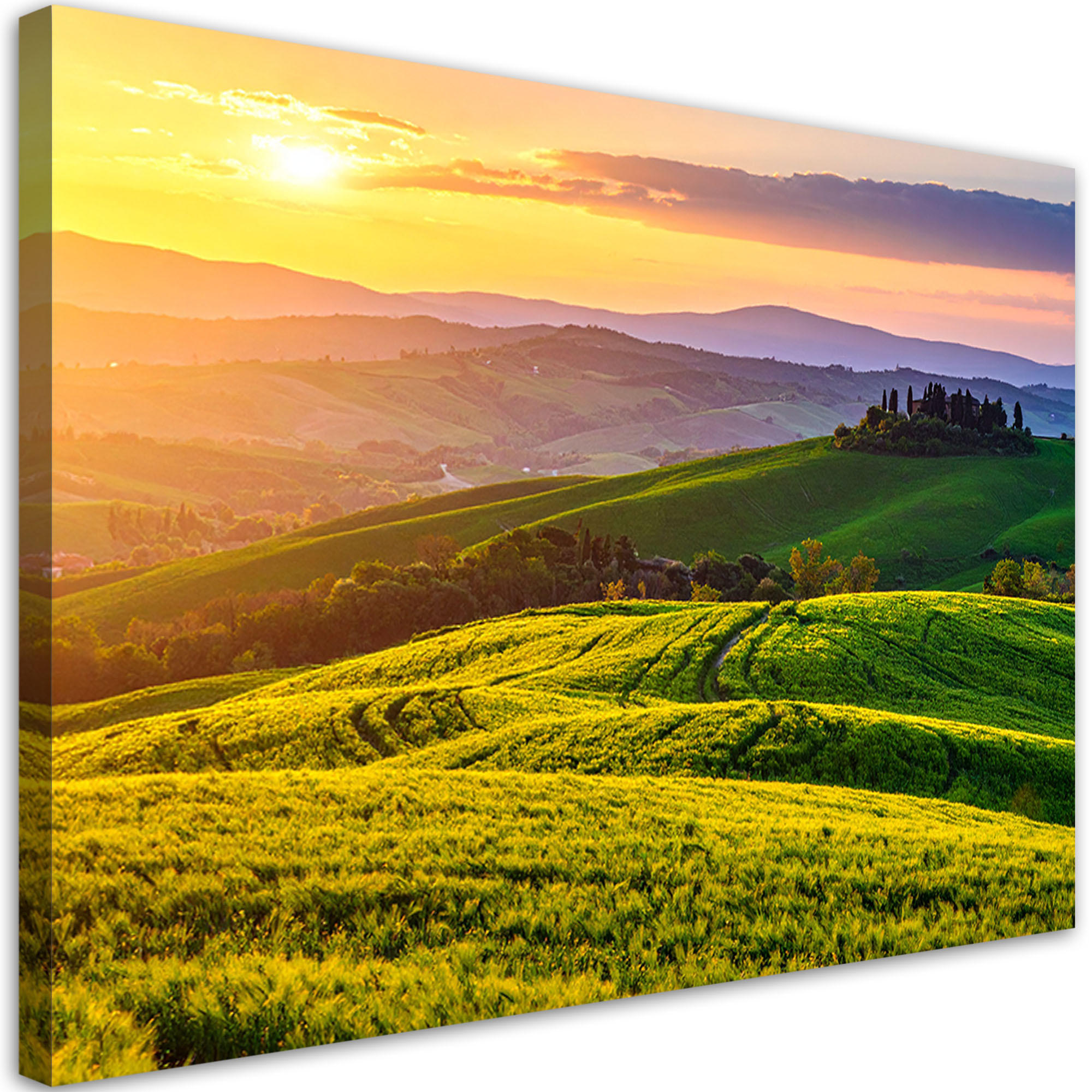 LEINWANDBILD Landschaft der Toskana Sonnenuntergang 120x80cm - Grün, Textil (120/80cm) - Feeby