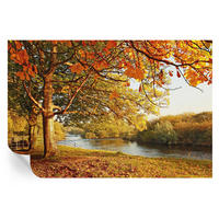 FOTOTAPETE 104x70 cm - Küstenherbst - Gelb, Textil (104/70cm) - Wallfluent